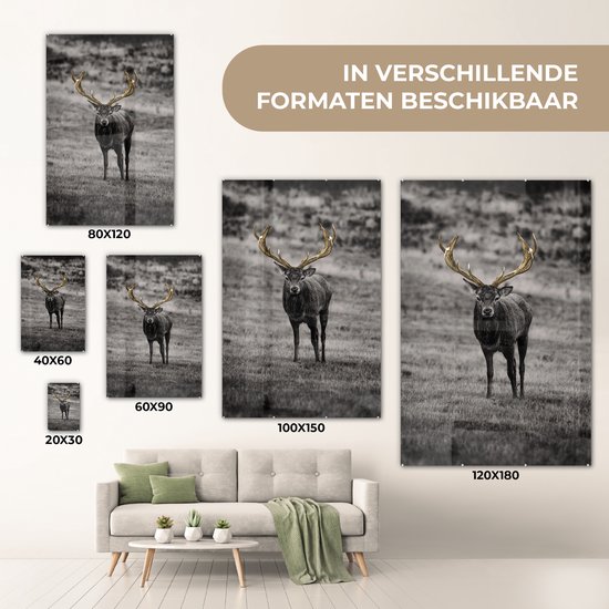 Peintures en plexiglas - Cerf - Or - Bois - 40x60 cm
