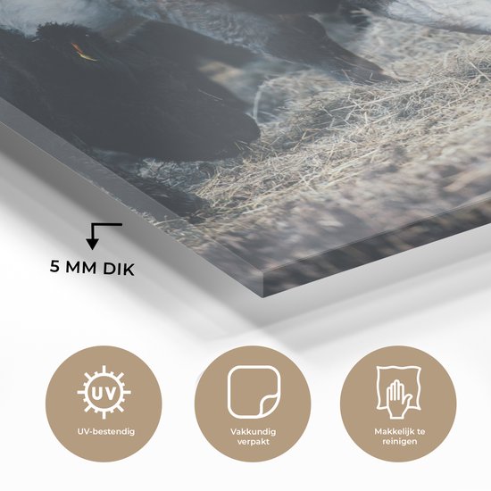 MuchoWow® Peinture sur Verre - Animaux - Vache - Ferme - 120x90 cm - Peintures sur Verre Acrylique - Photo sur Glas