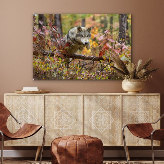 Peinture sur verre - Loup - Branche - Forêt - 120x80 cm - Peintures Plexiglas