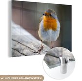 MuchoWow® Glasschilderij 90x60 cm - Schilderij acrylglas - Roodborstje - Hout - Vogel - Foto op glas - Schilderijen