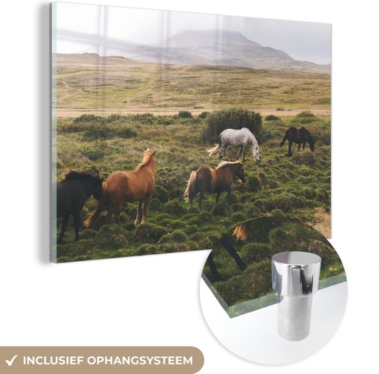 MuchoWow® Glasschilderij - IJsland - Paarden - Bruin - Acrylglas Schilderijen - Foto op Glas