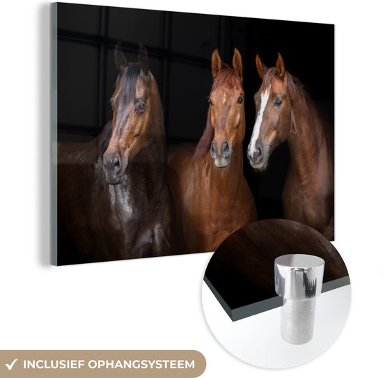 MuchoWow® Glasschilderij 90x60 cm - Schilderij acrylglas - Paarden - Dieren - Zwart - Portret - Foto op glas - Schilderijen