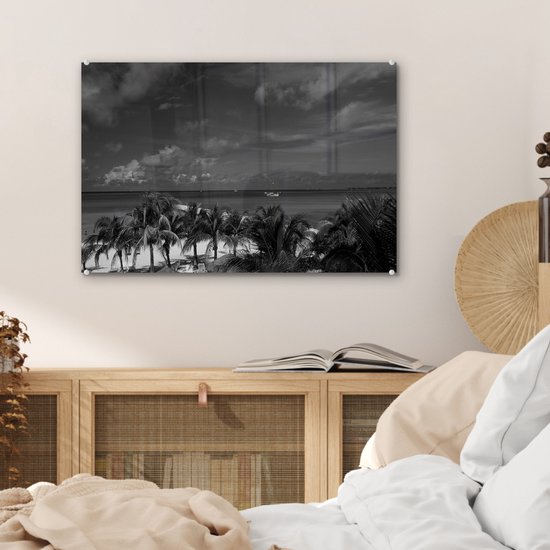 MuchoWow® Peinture sur verre - Aruba - Palmier - Zwart - Wit - 60x40 cm - Peintures sur verre acrylique - Photo sur Glas