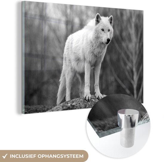 MuchoWow® Glasschilderij 60x40 cm - Schilderij acrylglas - Wolf op een steen - zwart wit - Foto op glas - Schilderijen