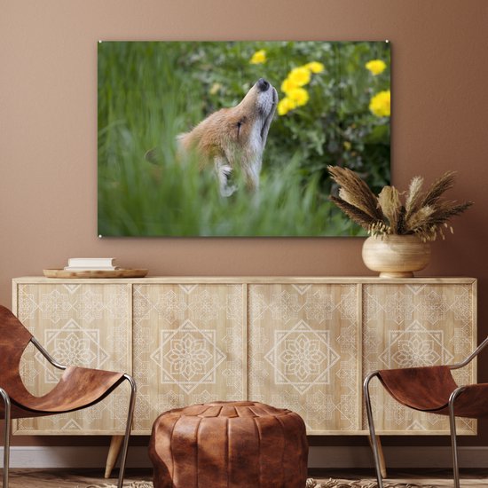MuchoWow® Peinture sur Verre - Renard - Fleurs - Jaune - 90x60 cm - Peintures sur Verre Acrylique - Photo sur Glas