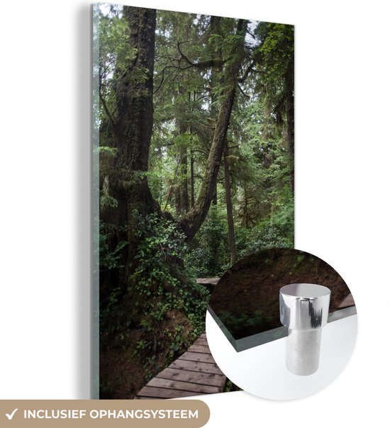 Pont en bois dans les forêts moussues de la forêt tropicale au Costa Rica Plexiglas 40x60 cm - Tirage photo sur Glas (décoration murale en plexiglas)