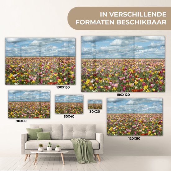 Champs de tulipes en Glas Oregon 30x20 cm - petit - Tirage photo sur Glas (décoration murale en plexiglas)