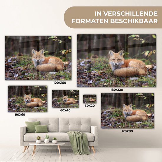 MuchoWow® Glasschilderij 90x60 cm - Schilderij acrylglas - Vos - Bos - Dier - Foto op glas - Schilderijen