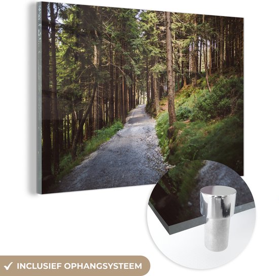 MuchoWow® Glasschilderij - Pad door de bossen in het Nationaal Park Bayerischer Wald - 180x120 cm - Acrylglas Schilderijen - Foto op Glas