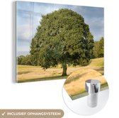 MuchoWow® Glasschilderij 30x20 cm - Schilderij acrylglas - Eenzame eikenboom in een golvend landschap - Foto op glas - Schilderijen