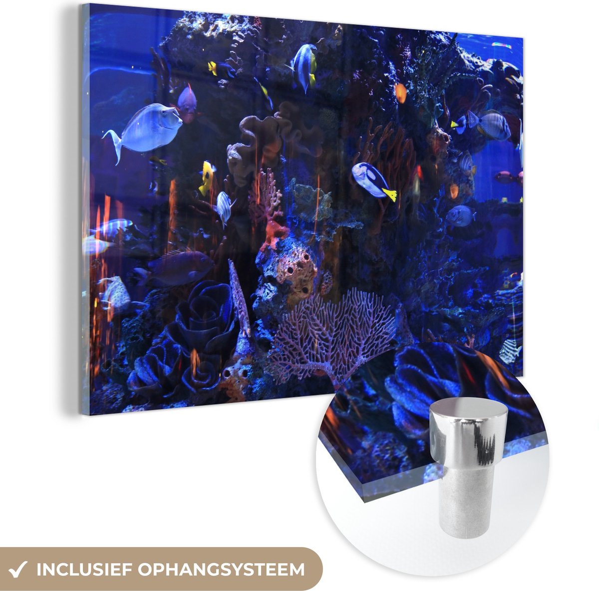 ® Glasschilderij 150x100 cm - Schilderij acrylglas - Tropisch zoutwateraquarium - Foto op glas - Muurdecoratie woonkamer - Wanddecoratie slaapkamer - Schilderijen