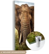 MuchoWow® Glasschilderij 20x40 cm - Schilderij acrylglas - Afrikaanse olifant vooraanzicht - Foto op glas - Schilderijen