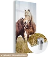 MuchoWow® Glasschilderij 60x120 cm - Schilderij acrylglas - Paarden - Gras - Lente - Foto op glas - Schilderijen