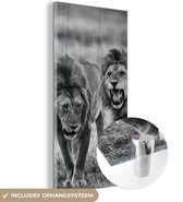 MuchoWow® Glasschilderij 80x160 cm - Schilderij acrylglas - Leeuwen - Zwart - Wit - Jacht - Foto op glas - Schilderijen