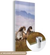 MuchoWow® Glasschilderij 40x80 cm - Schilderij acrylglas - Paarden - Gras - Bergen - Foto op glas - Schilderijen