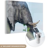 MuchoWow® Glasschilderij 120x80 cm - Schilderij acrylglas - Olifant - Dieren - Grijs - Natuur - Foto op glas - Schilderijen