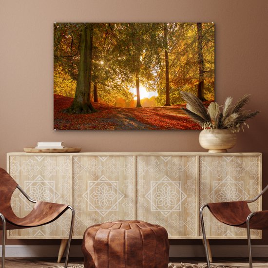 MuchoWow® Glasschilderij 120x80 cm - Schilderij acrylglas - Herfst - Zon - Bos - Foto op glas - Schilderijen