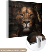 MuchoWow® Glasschilderij 20x20 cm - Schilderij acrylglas - Dieren - Leeuw - Jungle - Foto op glas - Schilderijen