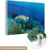 MuchoWow® Glasschilderij 90x60 cm - Schilderij acrylglas - Groene zeeschildpad op Bonaire - Foto op glas - Schilderijen