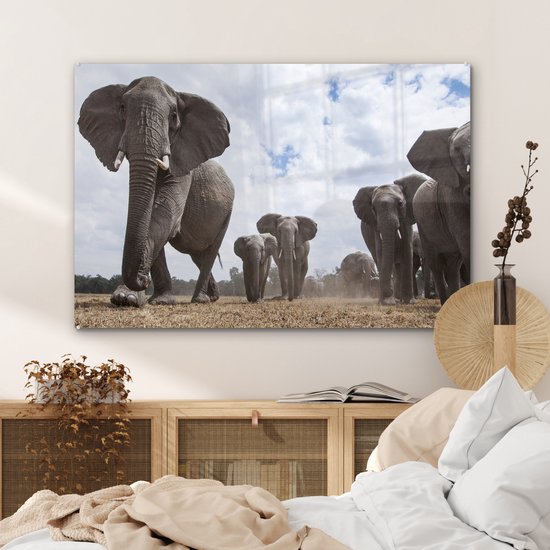 MuchoWow® Peinture sur verre 120x80 cm - Peinture sur verre acrylique - Éléphant - Animaux - Nature - Uni - Photo sur verre - Peintures