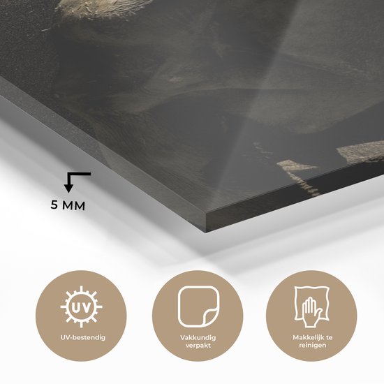 MuchoWow® Peinture sur verre 90x120 cm - Peinture sur verre acrylique - Éléphant - Boue - Animaux - Zwart - Photo sur verre - Peintures