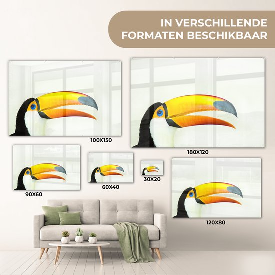 Peinture sur verre - la tête d'un toucan - 180x120 cm - Peintures sur Verre Peintures - Photo sur Glas