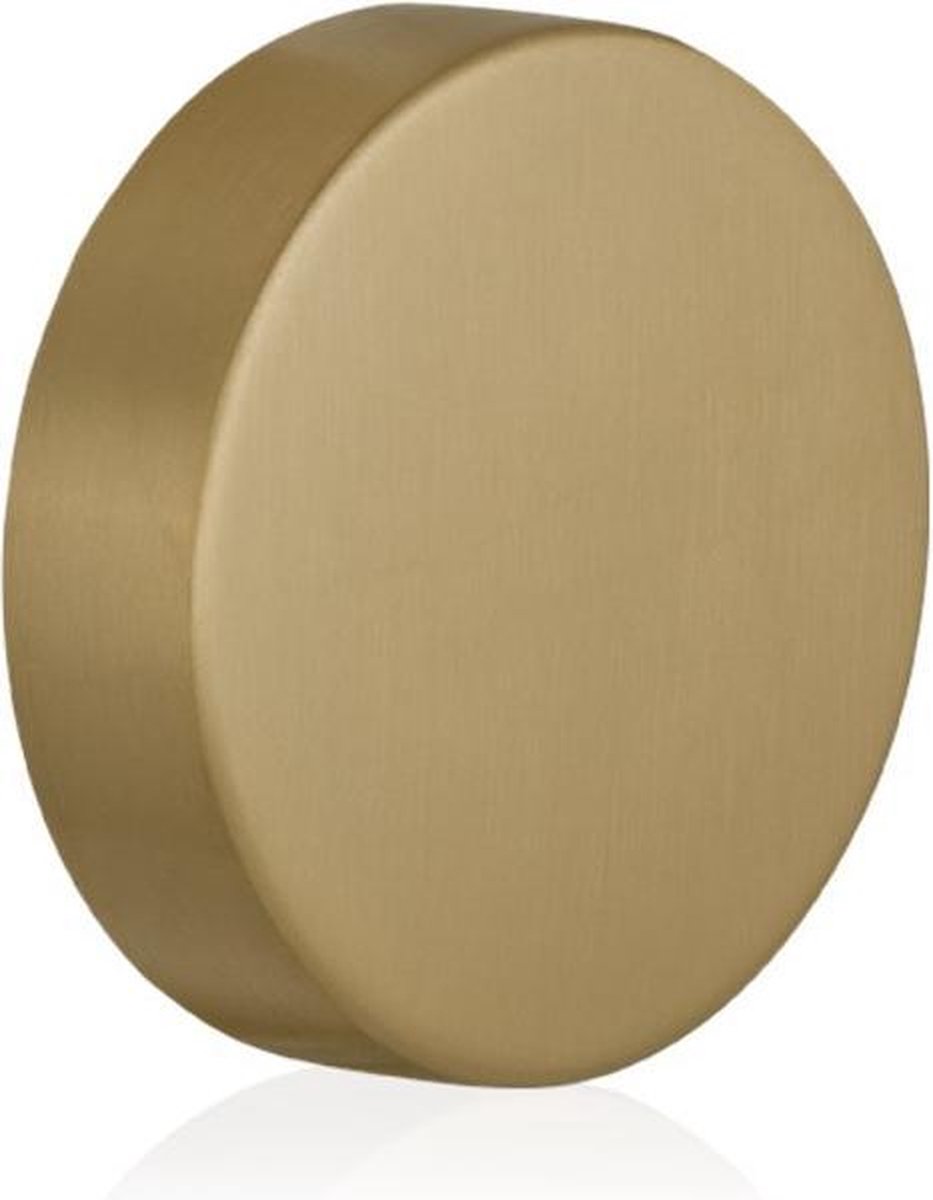 GPF Excentrische knop 60x16mm tbv VH-schilden vast incl. bout M10