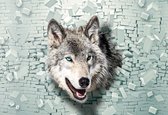 Fotobehang Wolf Animal | XL - 208cm x 146cm | 130g/m2 Vlies