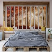 Fotobehang - Vlies Behang - 3D - Uitzicht op de Het Herfstbos met Zonsondergang vanuit het Raam - 152,5 x 104 cm