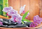 Fotobehang Flowers Orchids Zen | PANORAMIC - 250cm x 104cm | 130g/m2 Vlies