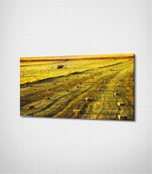 Armenia Green Landscape Canvas