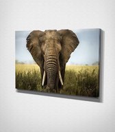 Elephant On Grass Canvas | 40x60 cm