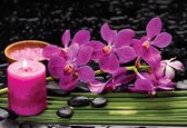 Papier peint Orchidées violettes et bougie | PANORAMIQUE - 250cm x 104cm | Polaire 130g / m2