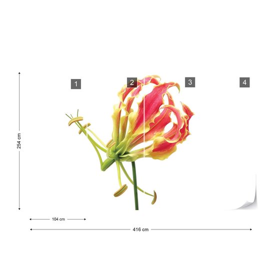 Papier peint Fleurs Forêt Nature | XXXL - 416 cm x 254 cm | Polaire 130g / m2