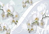 Motif de fleurs d'orchidées | XL - 208 cm x 146 cm | Polaire 130g / m2