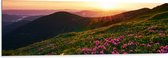 Dibond - Zonsondergang Verdwijnend achter Gebergte vol Paarse Bloemen - 150x50 cm Foto op Aluminium (Met Ophangsysteem)