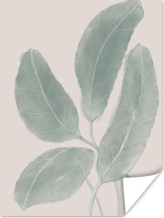 Poster Bladeren - Planten - Natuur - Abstract - Beige - 60x80 cm