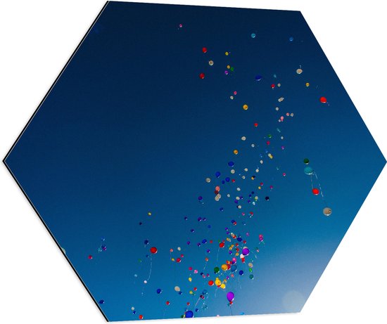 Dibond Hexagon - Lucht Vol Gekleurde Ballonnen - 70x60.9 cm Foto op Hexagon (Met Ophangsysteem)