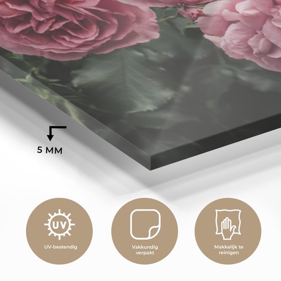 MuchoWow® Peinture sur Verre - Rose - Fleurs - Roses - 150x100 cm - Peintures sur Verre Peintures - Photo sur Glas