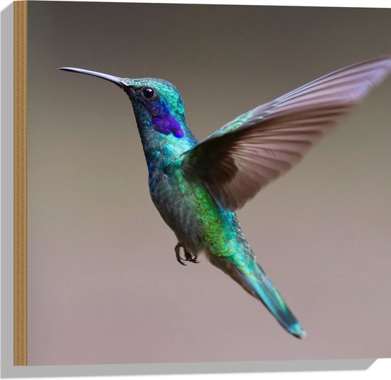 Hout - Vliegende Kolibrie Vogeltje in de Lucht - 50x50 cm - 9 mm dik - Foto op Hout (Met Ophangsysteem)