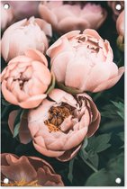 Tuindecoratie Bloemen - Roze - Natuur - Planten - 40x60 cm - Tuinposter - Tuindoek - Buitenposter
