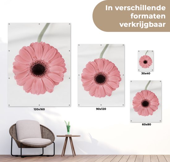 Tableau de jardin Bloem - Rose - Nature - Plante - 60x80 cm - Affiche de jardin - Toile de jardin - Affiche d'extérieur