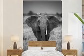 Olifant - Dieren - Safari - Wildlife