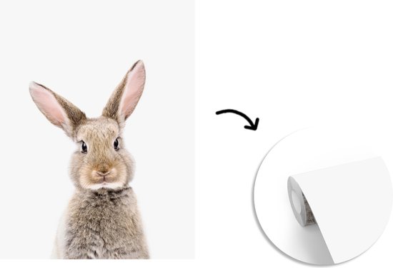 Konijn - Dieren - Natuur - Bruin - Behangpapier