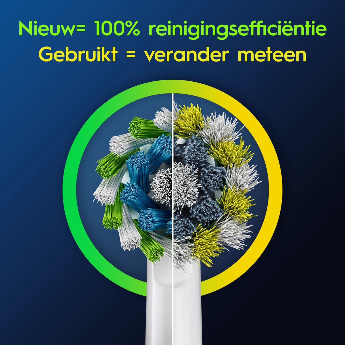 Oral-B Cross Action Pro Borstels thumbnail 3