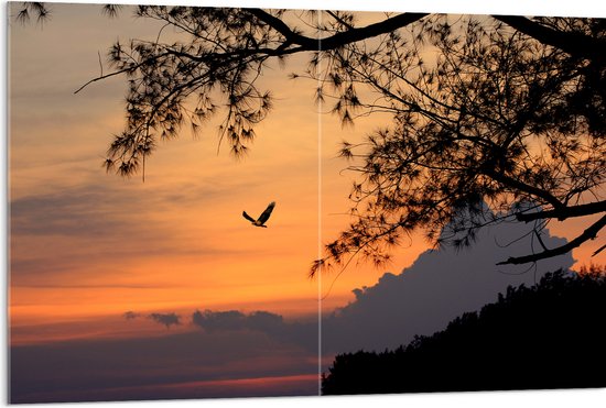 Acrylglas - Vogel Vliegend door de Lucht tijdens de Avondzon - 120x80 cm Foto op Acrylglas (Met Ophangsysteem)
