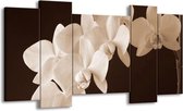 GroepArt - Schilderij - Orchidee - Sepia, Bruin - 120x65 5Luik - Foto Op Canvas - GroepArt 6000+ Schilderijen 0p Canvas Art Collectie - Wanddecoratie
