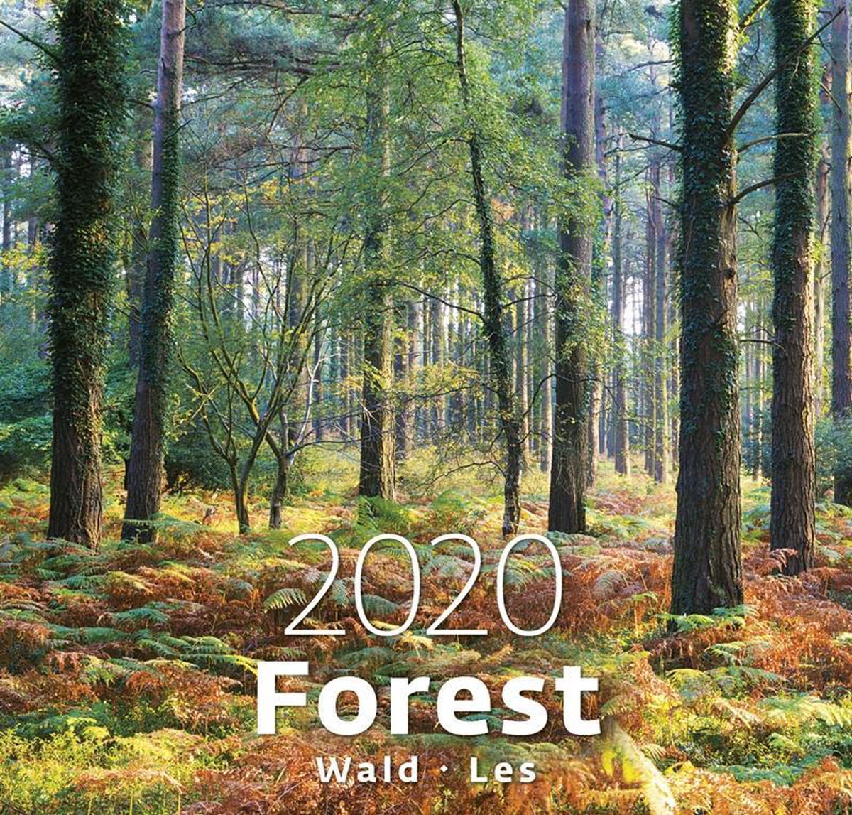 Bos - Forest Kalender 2020 - Helma