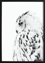 Owl Poster (50x70cm) - Wallified - Natuur - Landschap - Zee - Poster - Print - Wall-Art - Woondecoratie - Kunst - Posters