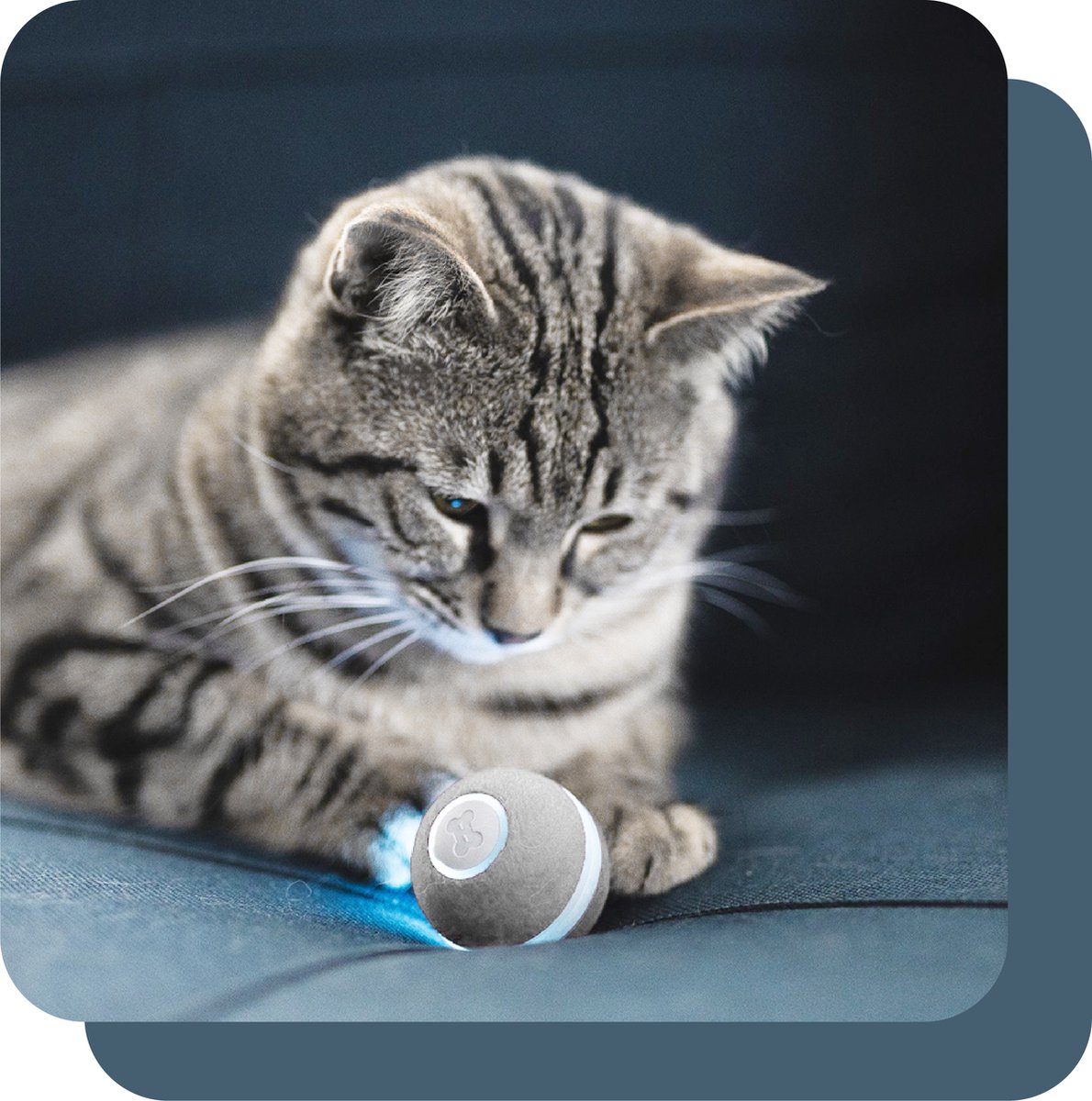 Interactieve hondenbal, Smart Ball kattenspeeltje - Kleine slimme rollende bal voor honden,Cat Moving Ball, interactief bewegingsgeactiveerd hondenspeelgoed, hondenbal voor agressieve kauwers binnen e